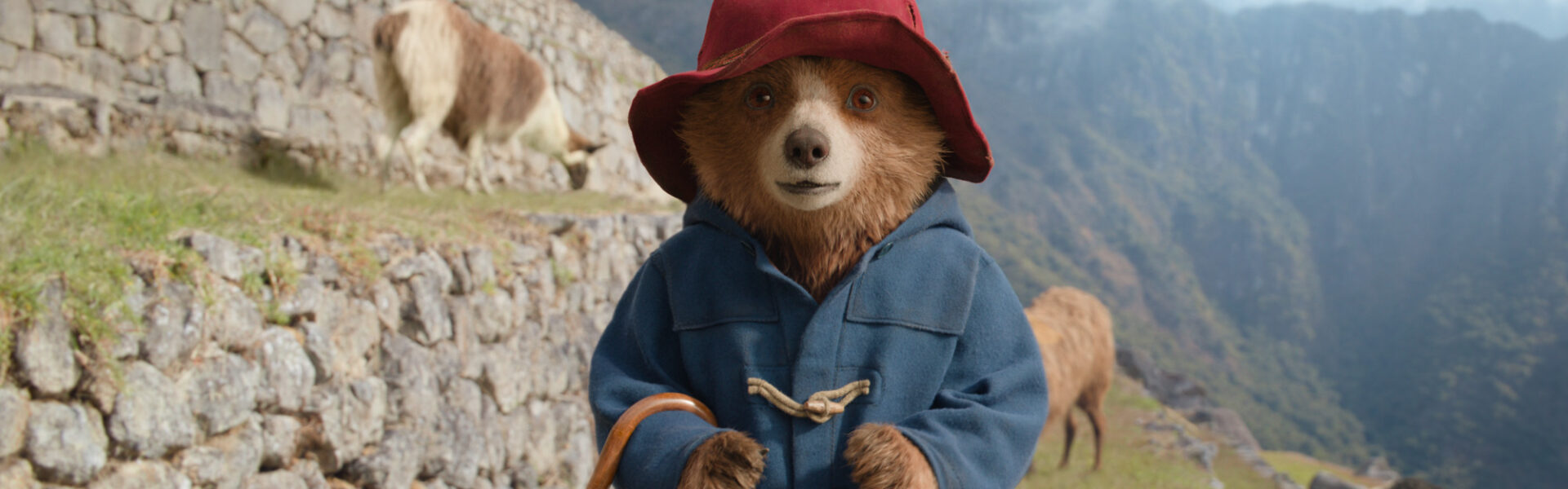 Paddington in Peru