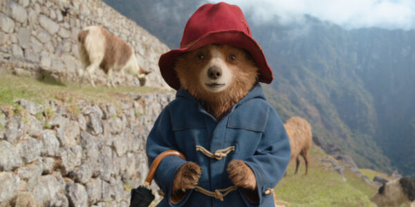 Paddington in Peru