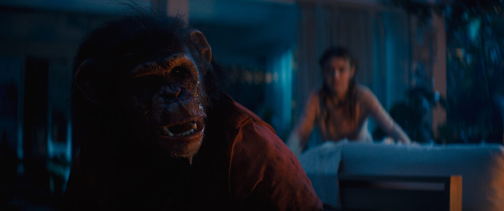 Ben goes crazy in Primate