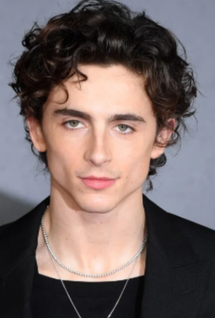 Timothee Chalamet as Paul Atreides Dune Part Three