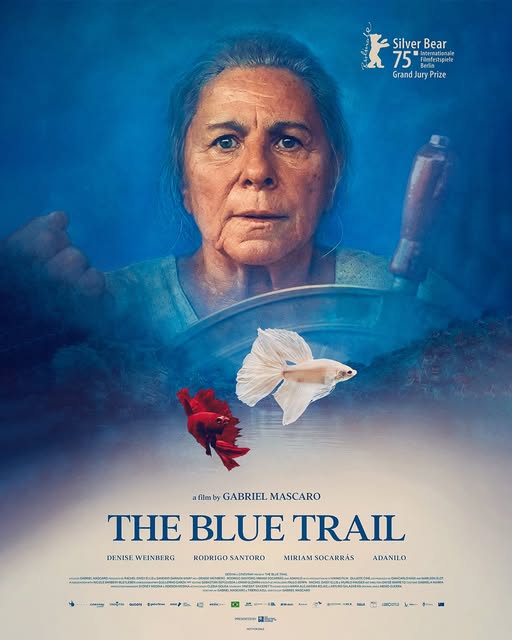 The Blue Trail FDCP A Curation of World Cinema