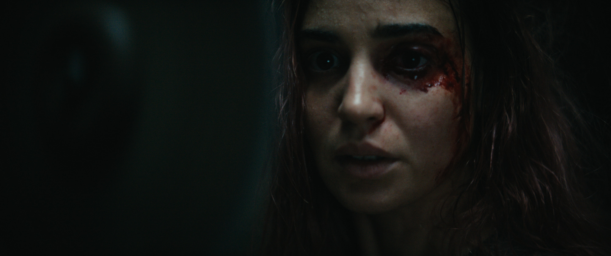 Alice in Evil Dead Burn