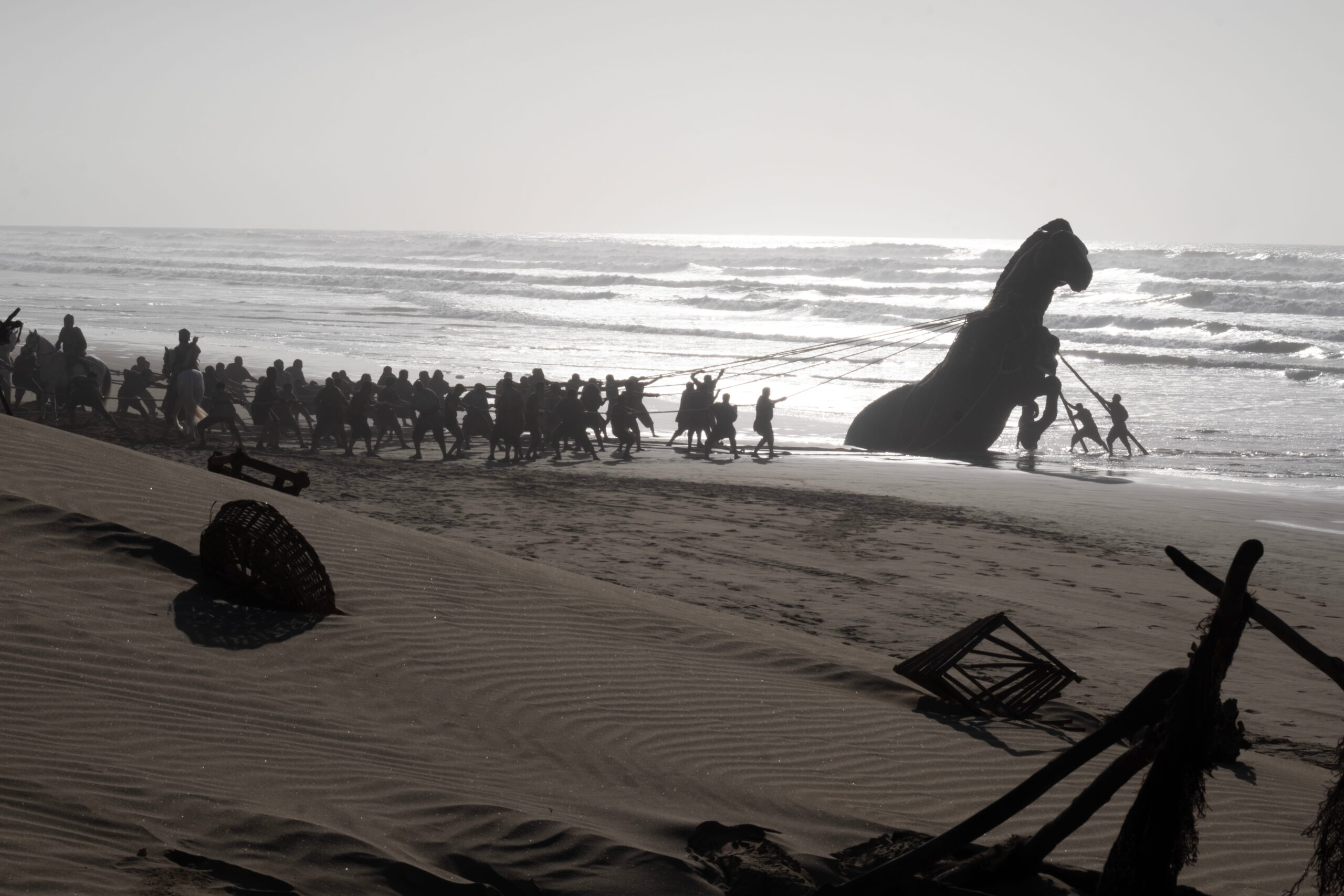 Trojan horse on the beach