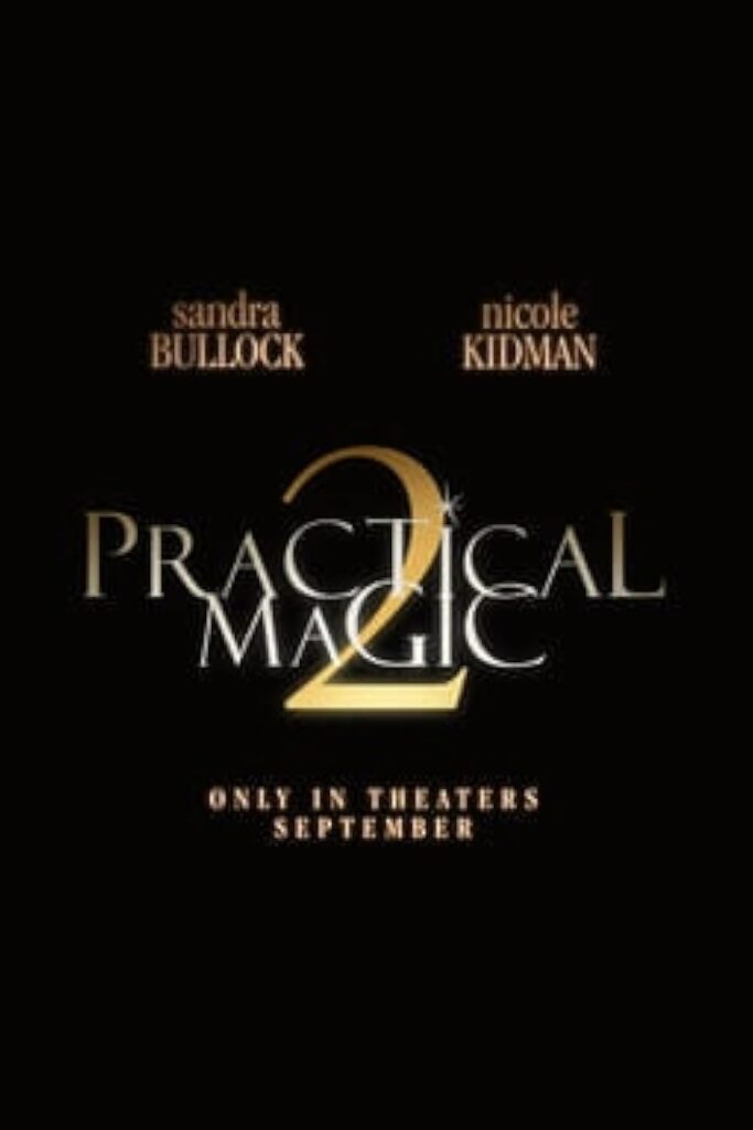 Practical Magic 2 movie poster